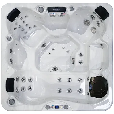 Avalon EC-849L hot tubs for sale in Aliso Viejo